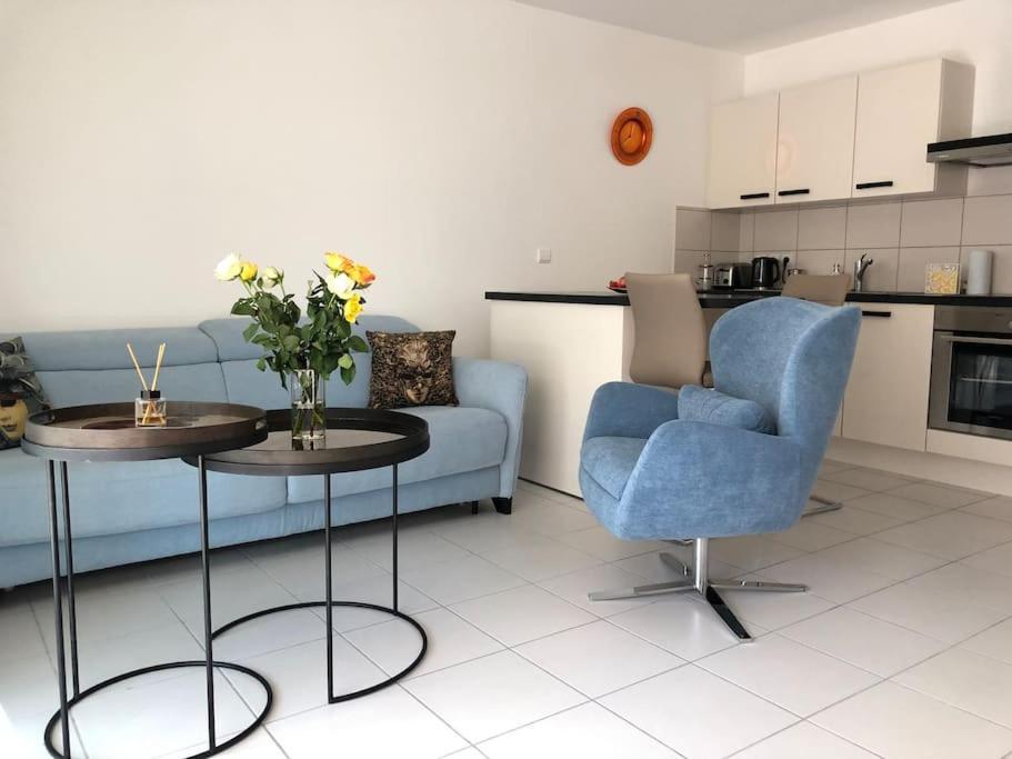 Appartement. La Coupole 2 Pieces Avec Vue 埃维昂莱班 外观 照片